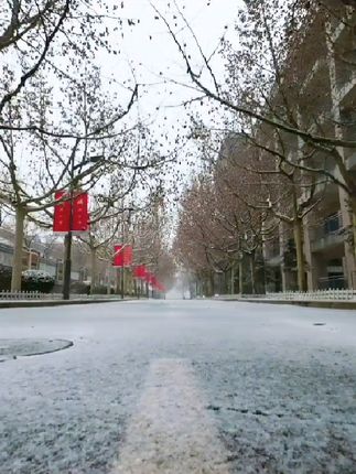 雪落一中，时光凝萃，每帧皆诗。